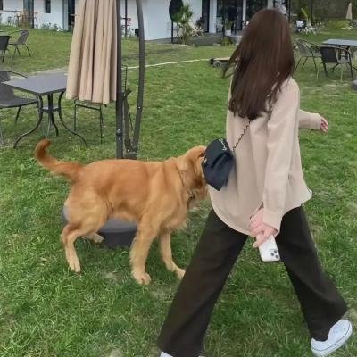 最后一周
